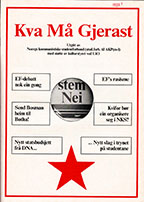 Kva må gjerast 1988
